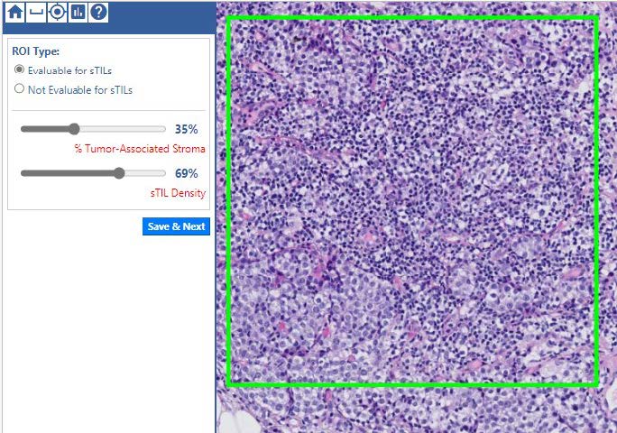 caMicroscope Annotation Task